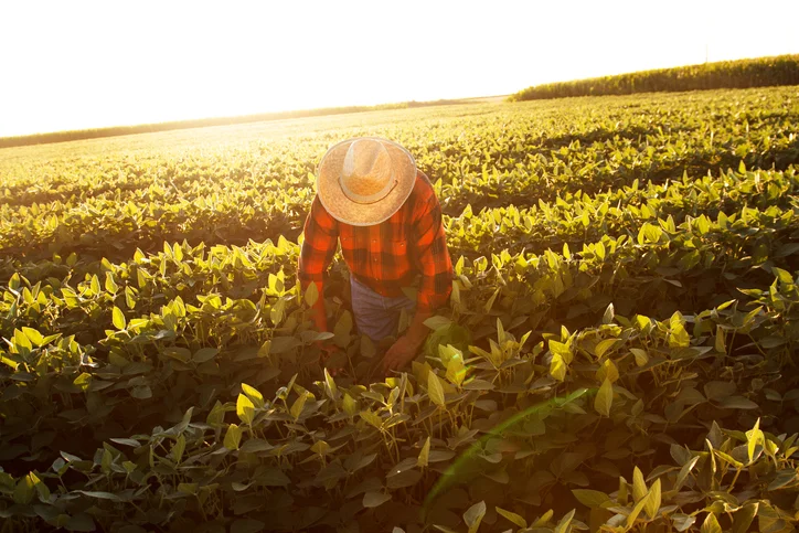 Farm General Labourer Needed In Canada By Maple Grove Farm