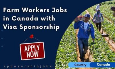 Job Opportunity in Canada With Visa Sponsorship: Harvest Worker at Kinetic Farms Inc.