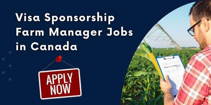 Farm Manager Needed In Canada By 15398045 Canada Inc